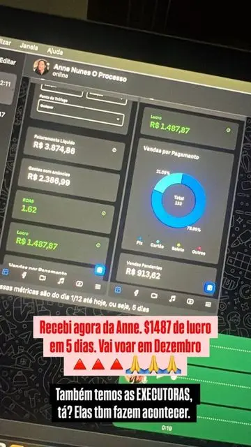 41